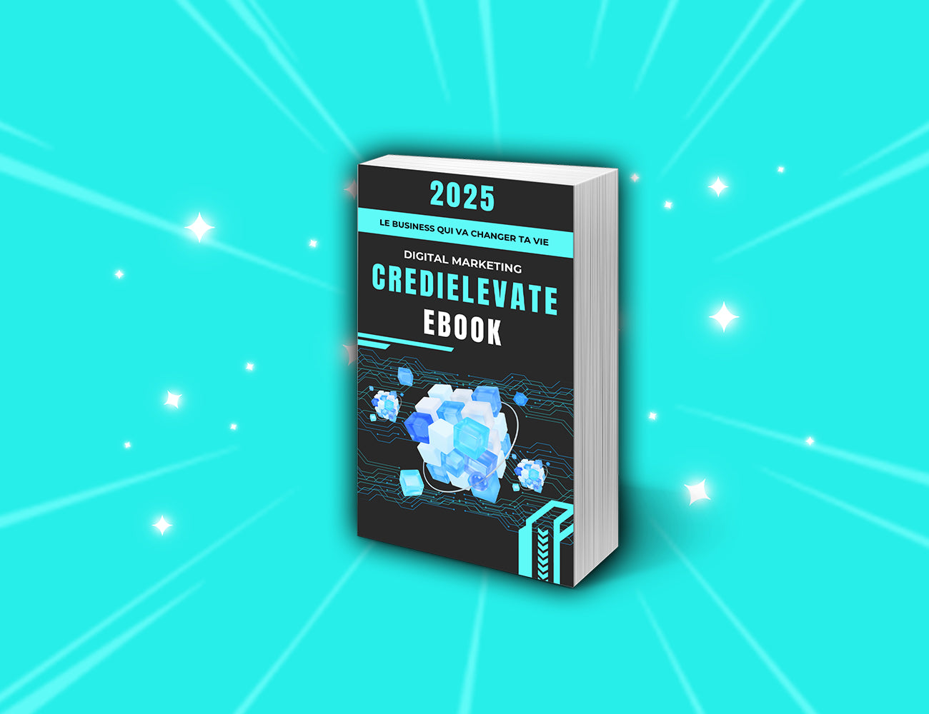 EBOOK©